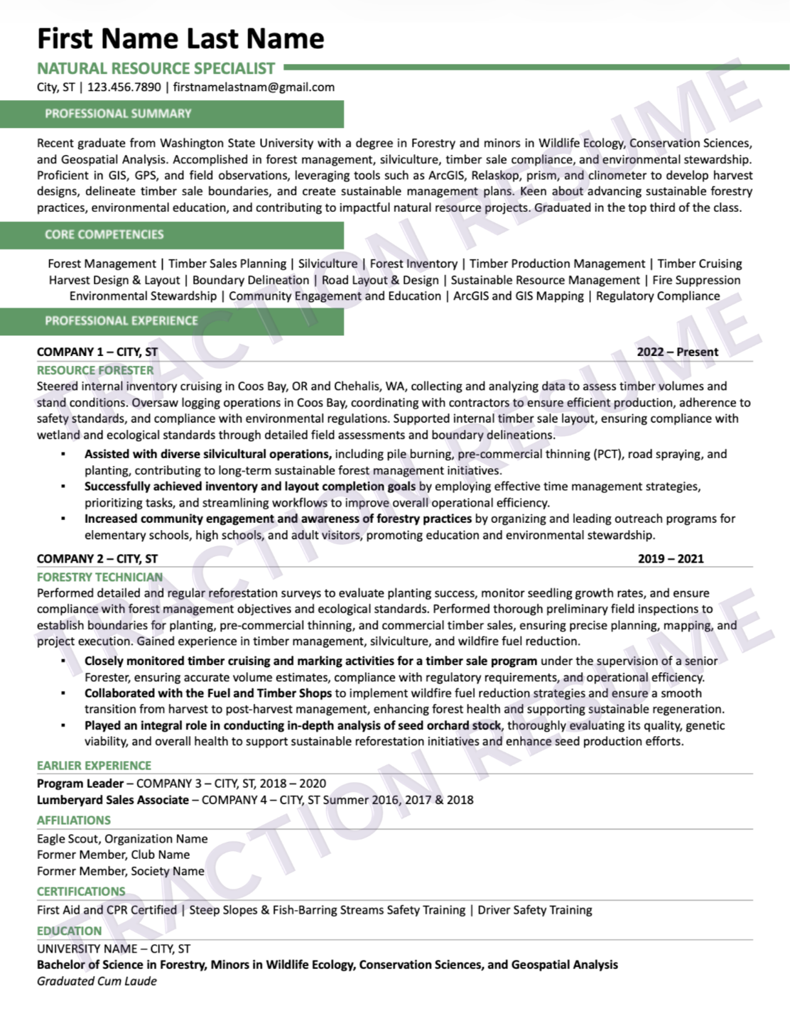 Modern + Crisp resume sample 5