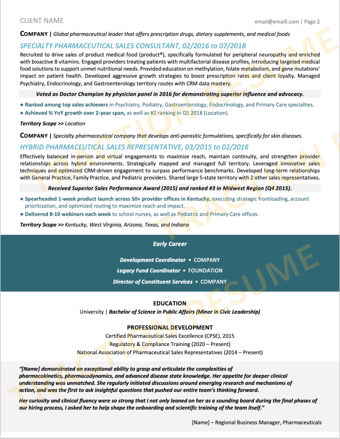 Punchy + Light resume sample 2